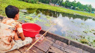 Amazing Fishing Video In Flood Water 2022 Best Hook Fishing Video Top Fishing Trap