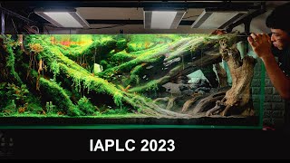 #6 Vòng Lặp | IAPLC 2023 Rank 143 | Setup hồ thủy sinh IAPLC 2023 | Aquascaping |#IAPLC2023