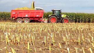 Ensilage de maïs en alsace