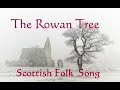 The rowan tree  scottish folk song