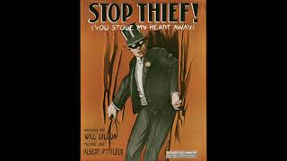 Stop, Thief! (1913)