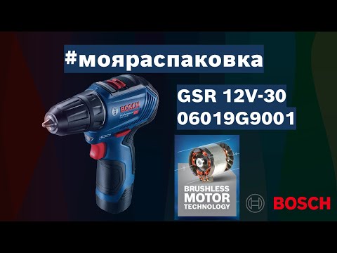 Аккумуляторный бесщеточный шуруповерт Bosch Professional GSR 12V-30 в сумке с 2 акб 2 Ah, з/у GAL 12V-40, 3 наборами насадок (06019G9001)