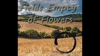 Fields Empty of Flowers - Modular Ambient