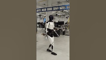 Surviving the AI Revolution: A Guide