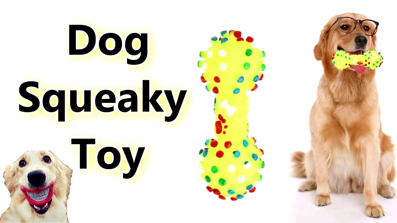 Dogs Squeaky Toy Sound Effect