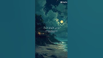 أحترم قران الكريم و أكتب#الحمدلله ❤❤❤❤❤❤❤❤❤❤