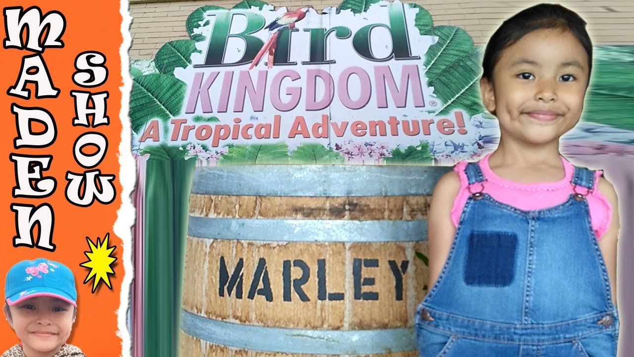 Kids | A TROPICAL ADVENTURE AT BIRD KINGDOM ✅
