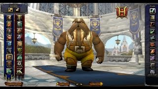 Serveur privé World of Warcraft complétement fou ! Heroes of WOW