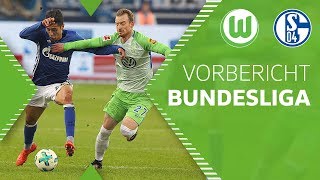 Zwei Schippen Drauflegen Vorbericht Bundesliga Vfl Wolfsburg - Fc Schalke 04