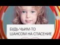 Тольятти в деталях 01.06.2016