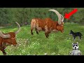 Dog online  monster virus  glitch place  earn points  level up fast  gameplay 2