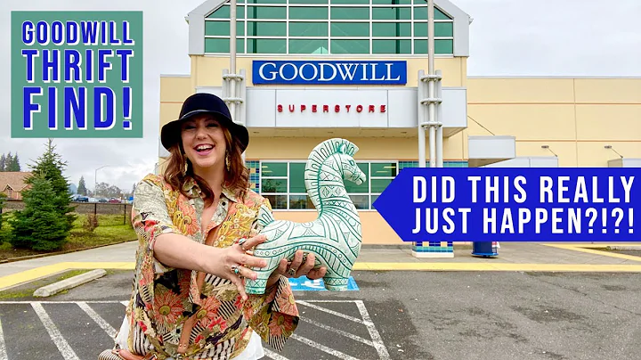 THE GOODWILL FIND THAT HAD ME SHOOK! | Thrift With...