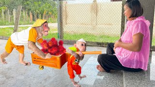 Download Lagu CUTIS \u0026 baby monkey secretly did cutest thing ever for pregnant Mom🤩 MP3 Download Lagu CUTIS \u0026 baby monkey secretly did cutest thing ever for pregnant Mom🤩 MP3