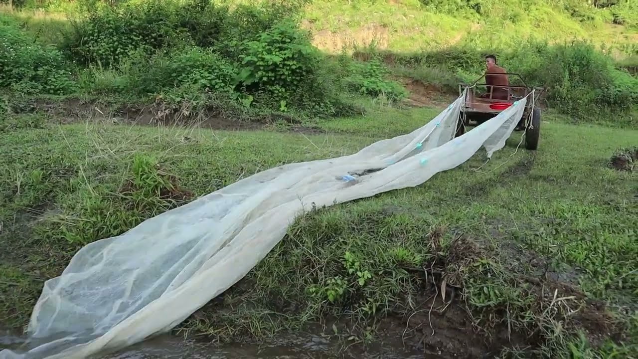 Fishing Exciting, Pull The Net To Catch Fish With Agricultural