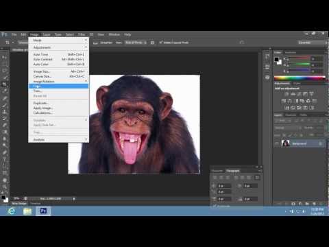 Photoshop CS6에서 단일 레이어를 자르는 방법