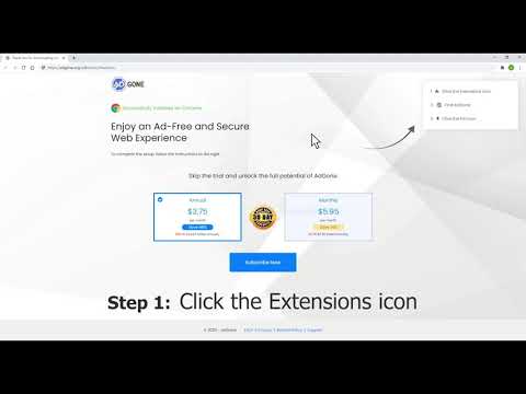 How to use Adgone Ad Blocker