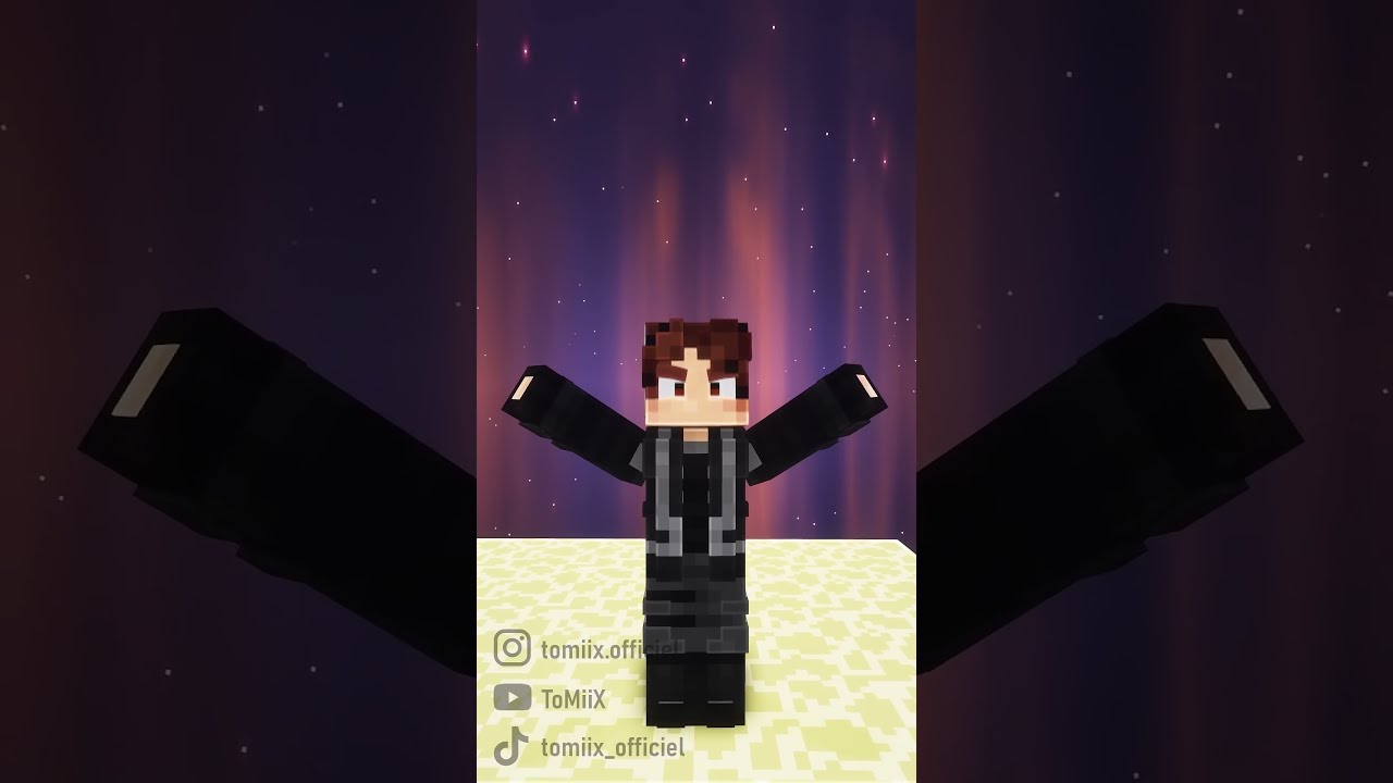 Ce Pote Pro Buildeur Sur Minecraft