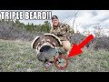 I Shot an ULTRA RARE Turkey!! (Catch Clean Cook)