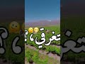 ياشريره والله انك خطيرة تصميم فراس 