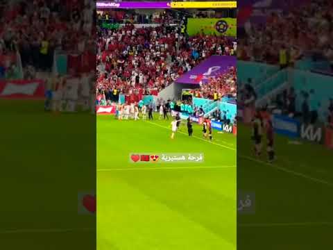 فرحة هستيرية بعد تسجيل منتخبنا الوطني الهدف الثاني على منتخب بلجيكا أجواء رائعة #shorts فرحة هستيرية بعد تسجيل منتخبنا الوطني الهدف الثاني على منتخب بلجيكا أجواء رائعة #shorts Thumbnail