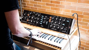 Minimoog Model D Reissue 2016 First Sounds! (Raw Footage)