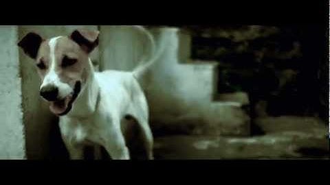 Panasonic GH2 test (Manual focus/Outdoor)