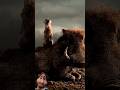 #movie #film #mufasa #emotionaledit #pumbaa #simba #hyenas #timon