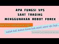 AF SCALPER ROBOT SETTINGS EXPLAINED - YouTube