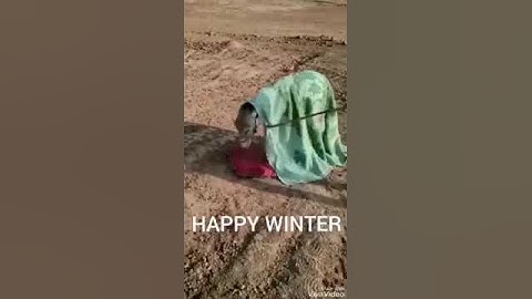 Cartoon Video Funny Donkey By Sumit Rajput