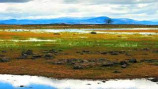 The Inishbofin - Robert Leon
