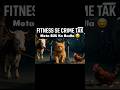 Fitness Se Crime Tak 😂 | Motey Billy Ka Badla | Funny Cat Story #shorts #cute #viral