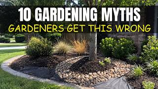 10 Landscaping Best Practices That Are Actually Wrong