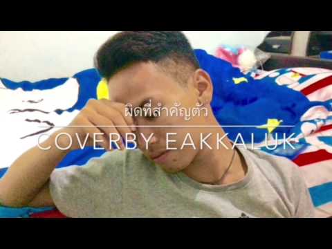 ผิดที่สำคัญตัว  coverby eakkaluk