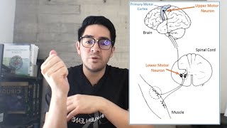 Fisiología de la contracción muscular