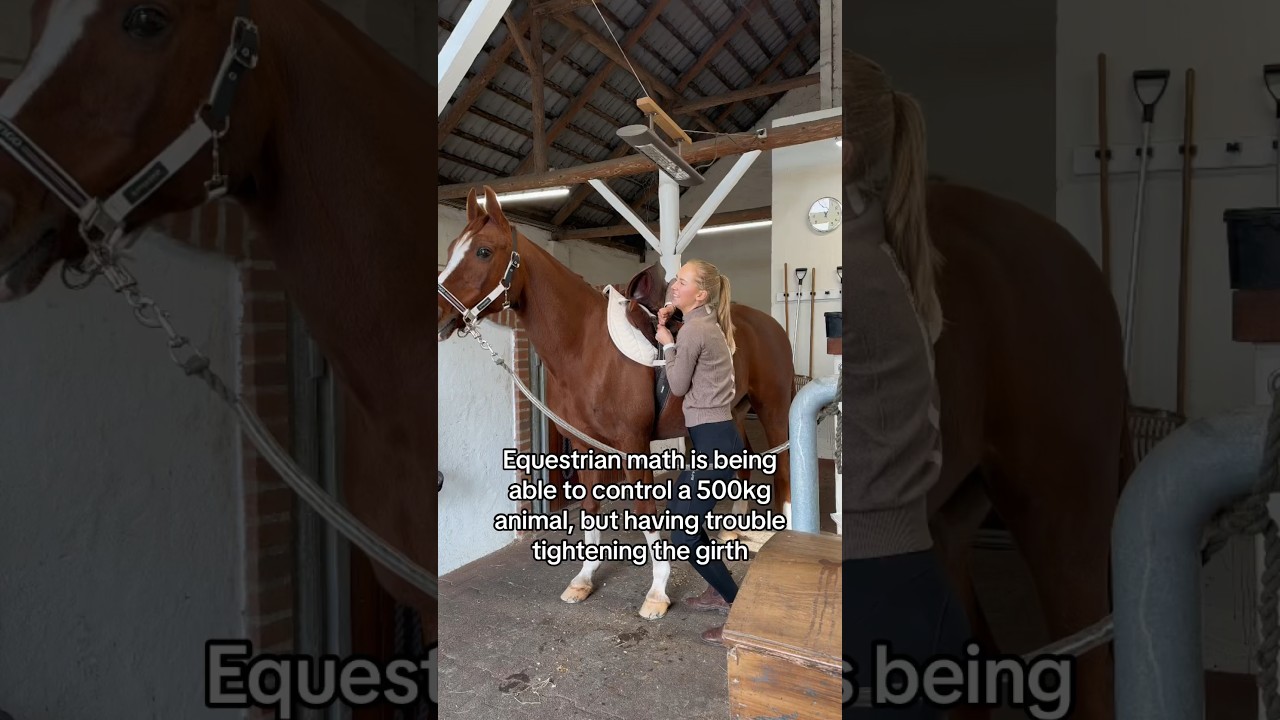 The ultimate workout 💪🏼🔥 