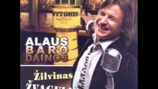 Žilvinas Žvagulis - Skani degtinė pavasarį