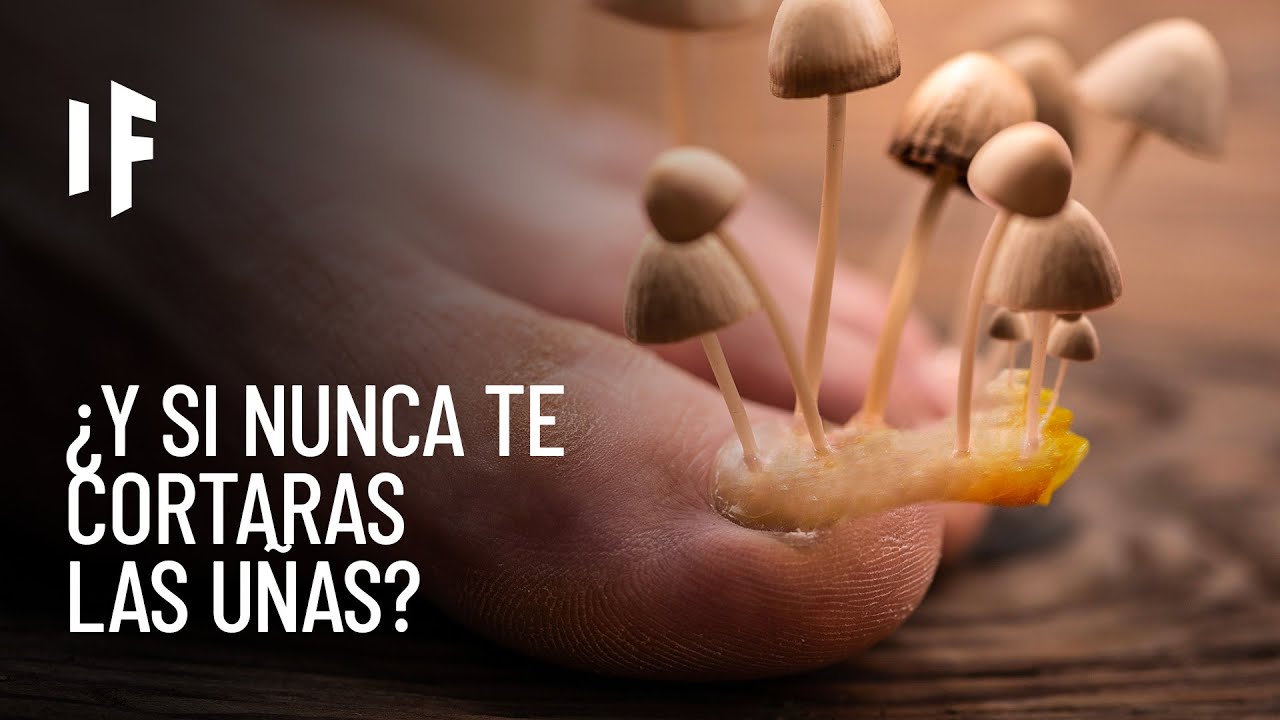 ¿Qué pasaría si no te cortaras las uñas por el resto de tu vida?