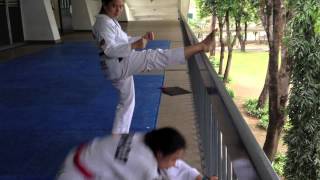 Harlem Shake - MCHS Taekwondo Team Style