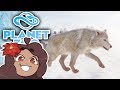 ARCTIC WOLVES in Ice Ice Outpost?! 🐏 Planet Zoo: Ice Ice Outpost • #5