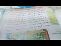 اليمامه والصياد