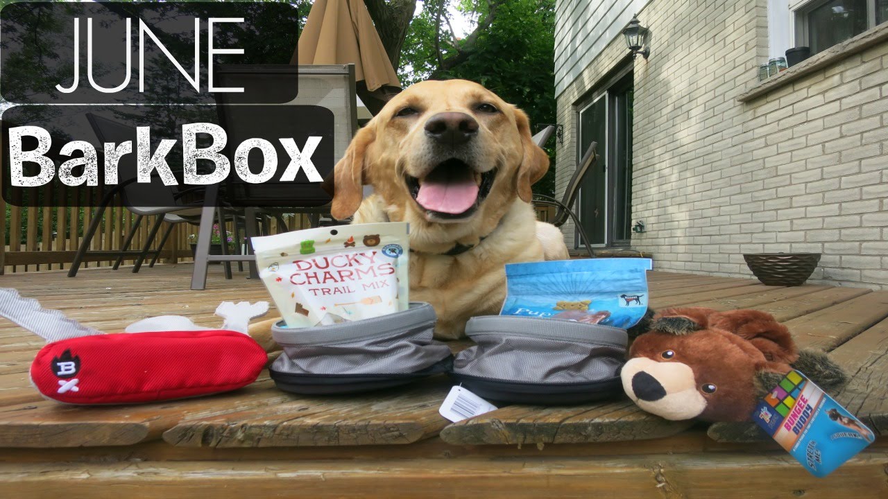 June BarkBox Unboxing With Cooper! YouTube