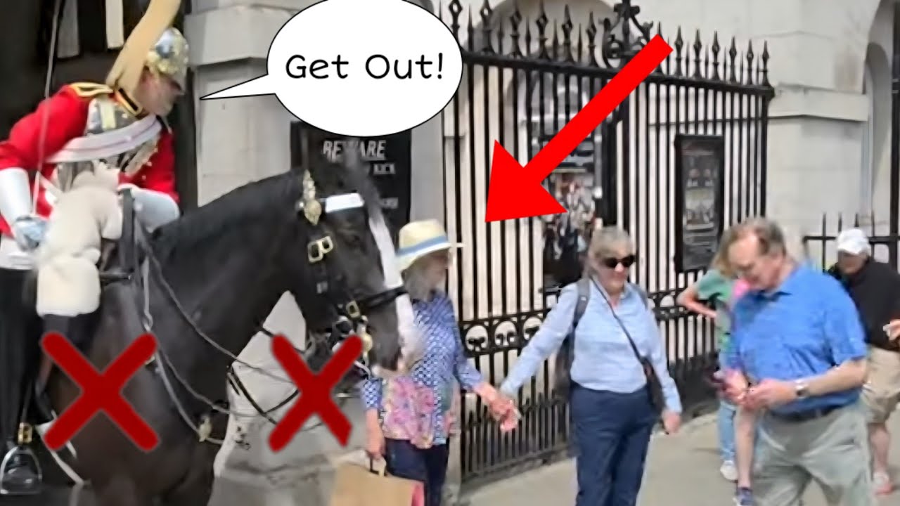 BRILLIANT Guard tells tourist off to 