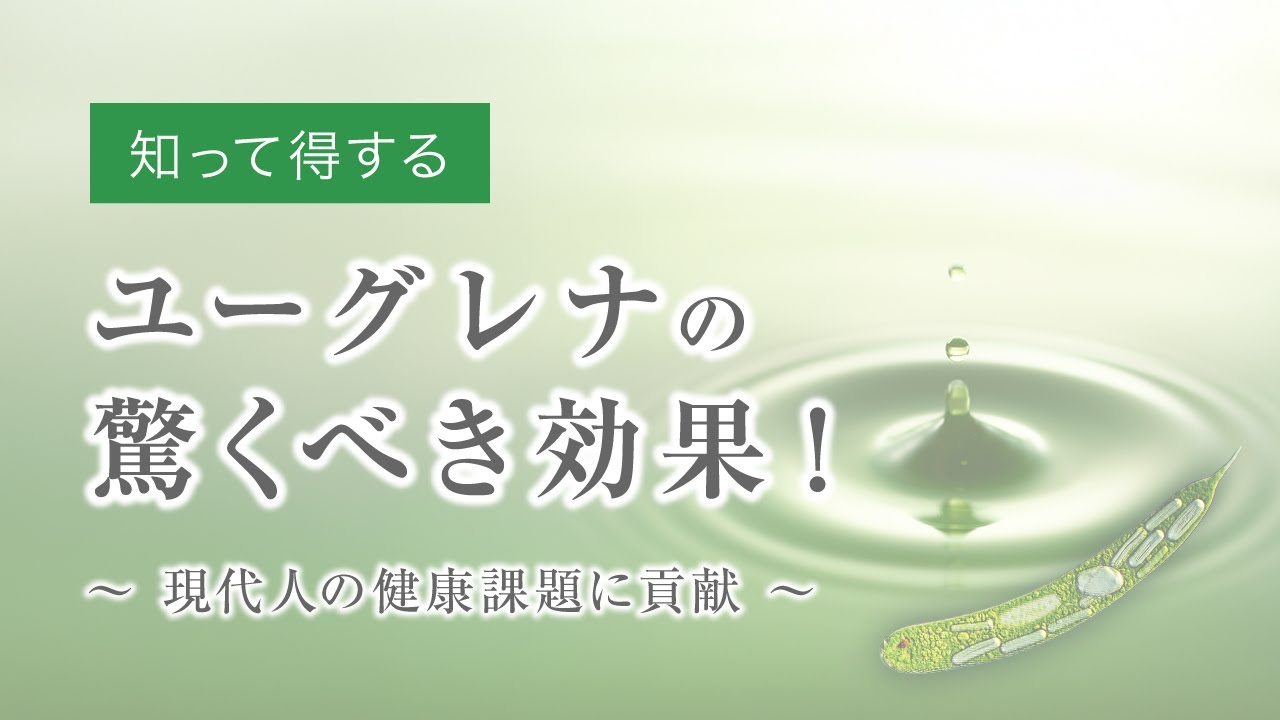 ミドリムシ 効果 うそ