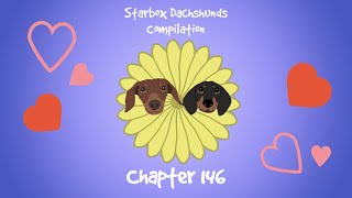 Starbox Dachshunds Compilation Chapter 146 by The Starbox Dachshunds  3,133 views 5 months ago 1 minute, 7 seconds