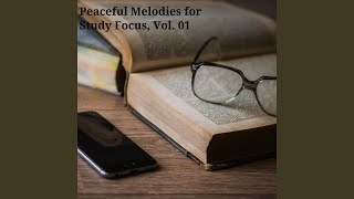 The Party People (Solo Piano in A Minor)