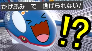 新種のチートポケモンを発見しましたｗｗｗ ポケモン剣盾 ダブルバトル ポケモン剣盾動画まとめナビ