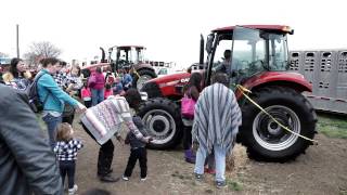 Farm Animal Days