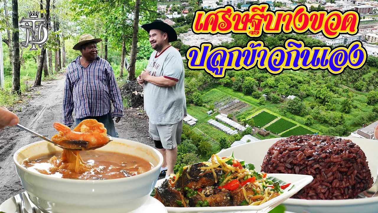 หม่อมถนัดแดก | เศรษฐีบางขวด ปลูกข้าวกินเอง | ในกรุงเทพมีแบบนี้ด้วยเหรอ!!