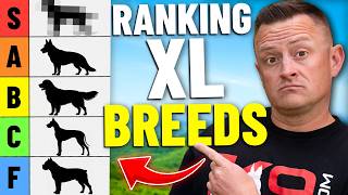 Ranking the BEST & WORST Giant Dog Breeds!