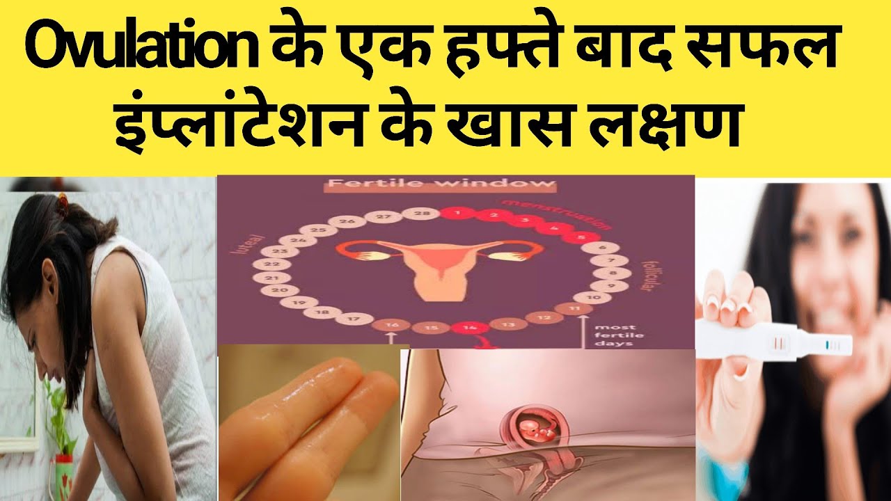 Ovulation ke Kitne din baad hota hai Successful Implantation Kaisa